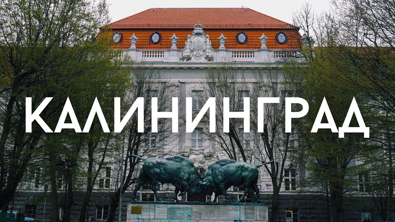 Пятый форд в калининграде