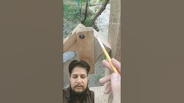 Amazing woodworking skills! Easy way to always get the perfect corner #shorts #diy #tips #tricks