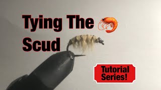 Tying The Olive Scud Fly Pattern
