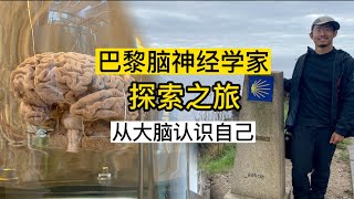 采访｜从大脑认识自己，巴黎脑神经学家刘江豪的探索之旅