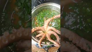 Octopus food  cooking