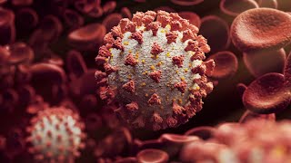 Coronavirus cases reach over 50K a day in the US, placing more pressure on the health care system