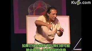 天体量子物理学家：Nassim Haramein讲述星系运行