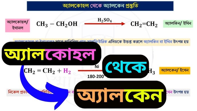 Jivodni jinsiy aloqa video Pantyhose kiygan transseksuallar