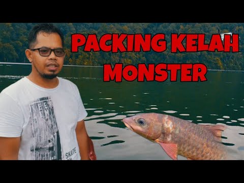 Monster Mahseer Vlog Bawa Balik Kelah Mega