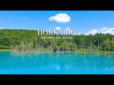 [Miraculous scenery] Japan's most beautiful nature in Biei and Furano in Hokkaido | travel vlog