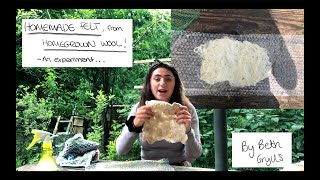 Making felt, from Freshly sheared sheep's wool - A homemade project, An experiment, Part 1
