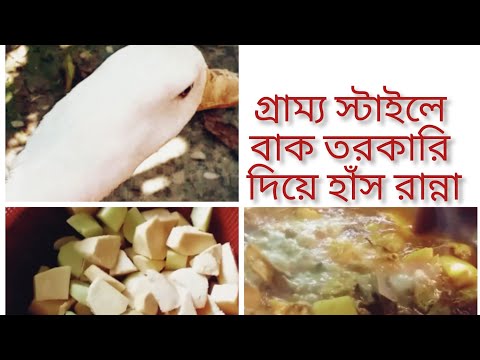 ভিডিও: হাঁসের মাংস আলু দিয়ে বিয়ারে স্টিভ করা