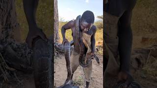 Why did this tribe capture a deadly snake? #triballife #shortsvideo