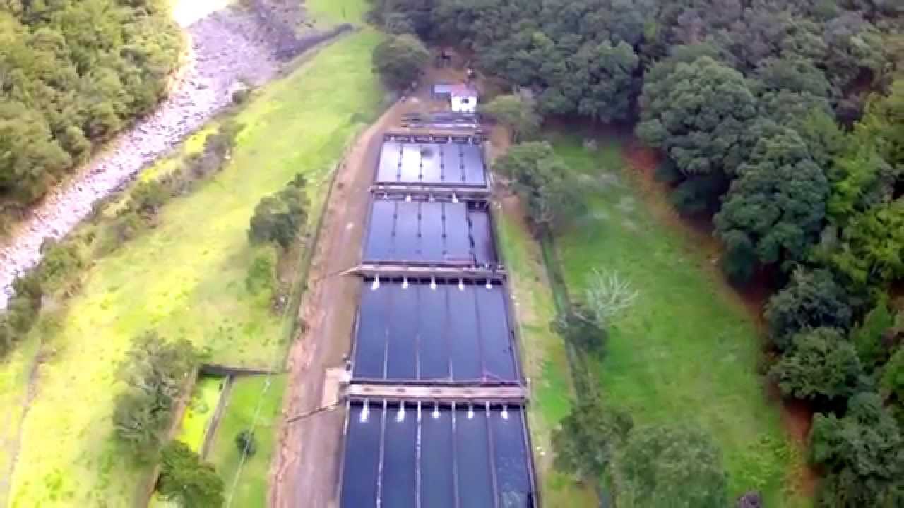 Criação de Truta Arco Iris