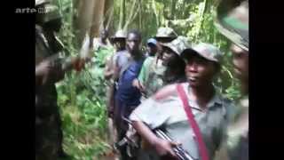 La propagande du Coran   ADF Nalu islamique