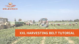 XXL harvesting belt tutorial