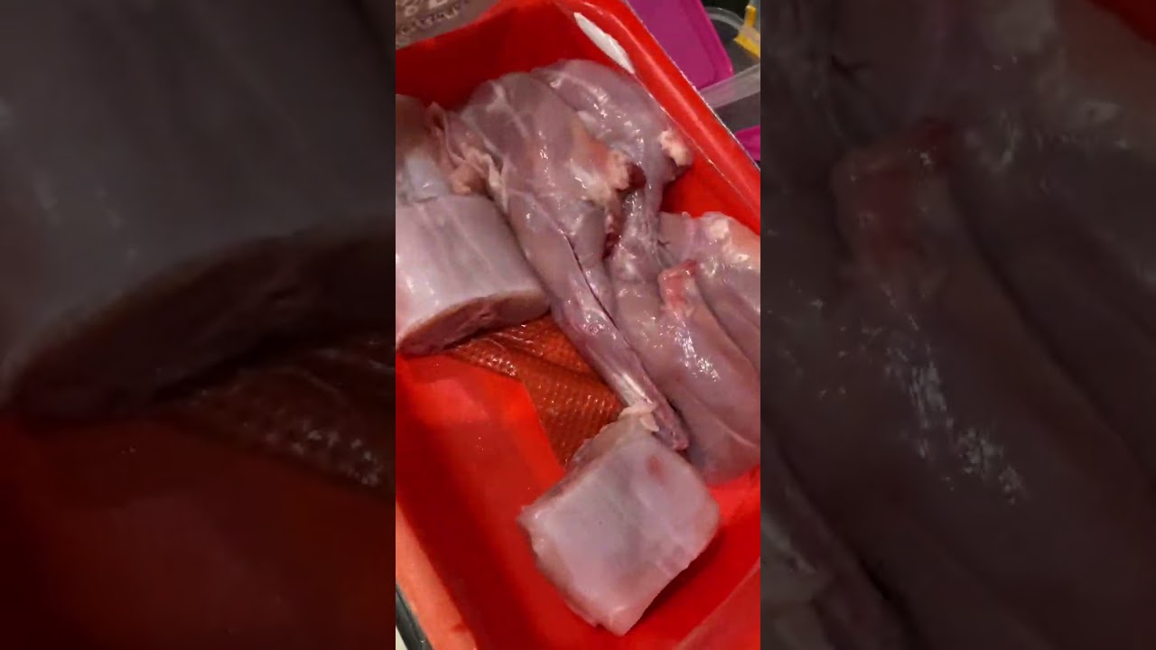 Ferret feeding - How to prepare a week of raw meals