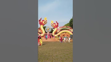 Rồng Giáp Thìn 2024 ở hội hoa xuân Vũng Tàu quá đẹp #hoihoaxuan #vungtau #vietnamtravel #cityview