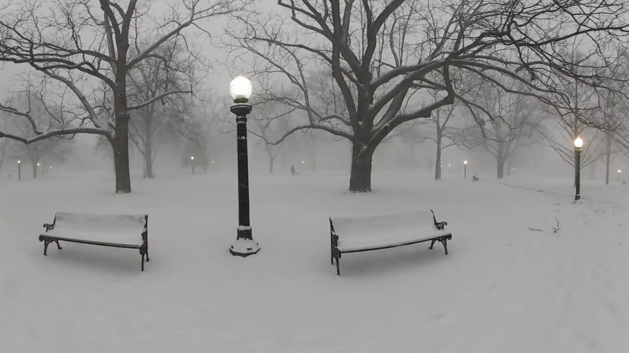 360 Toronto Blizzard