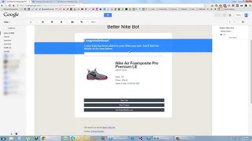 Better Nike Bot Live Demo - Auto Captcha, Early Links, Super Fast!