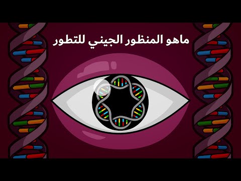 ماهو المنظور الجيني للتطور