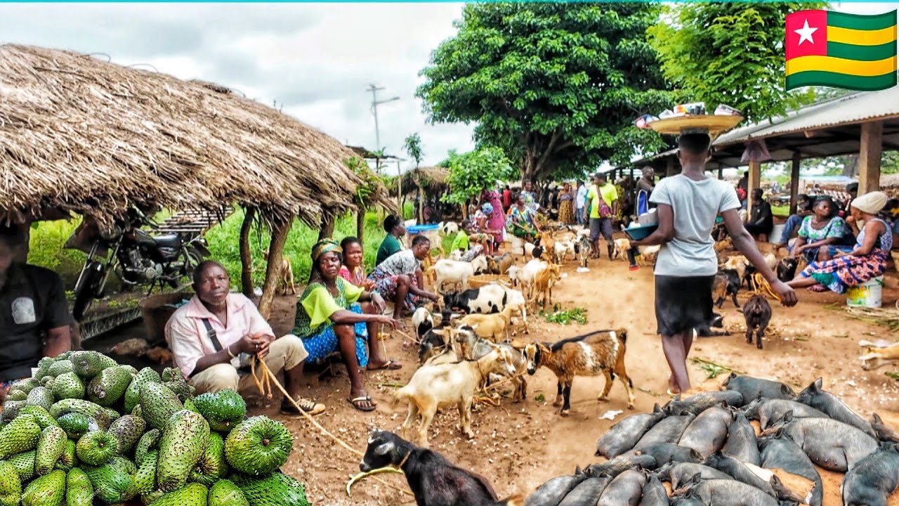 Массовый шопинг на самом дешёвом рынке Того. Ежемесячные покупки на 30 долларов. Стоимость жизни ...