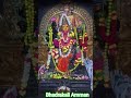 Bhadrakali Amman #indhu #bhadrakaliamman#ytshorts #trendingshorts