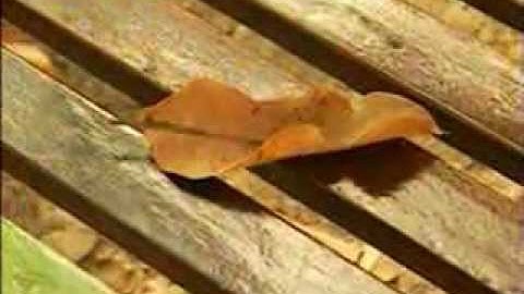 KĨ NIỆM TRONG TÔI-LƯU BÍCH