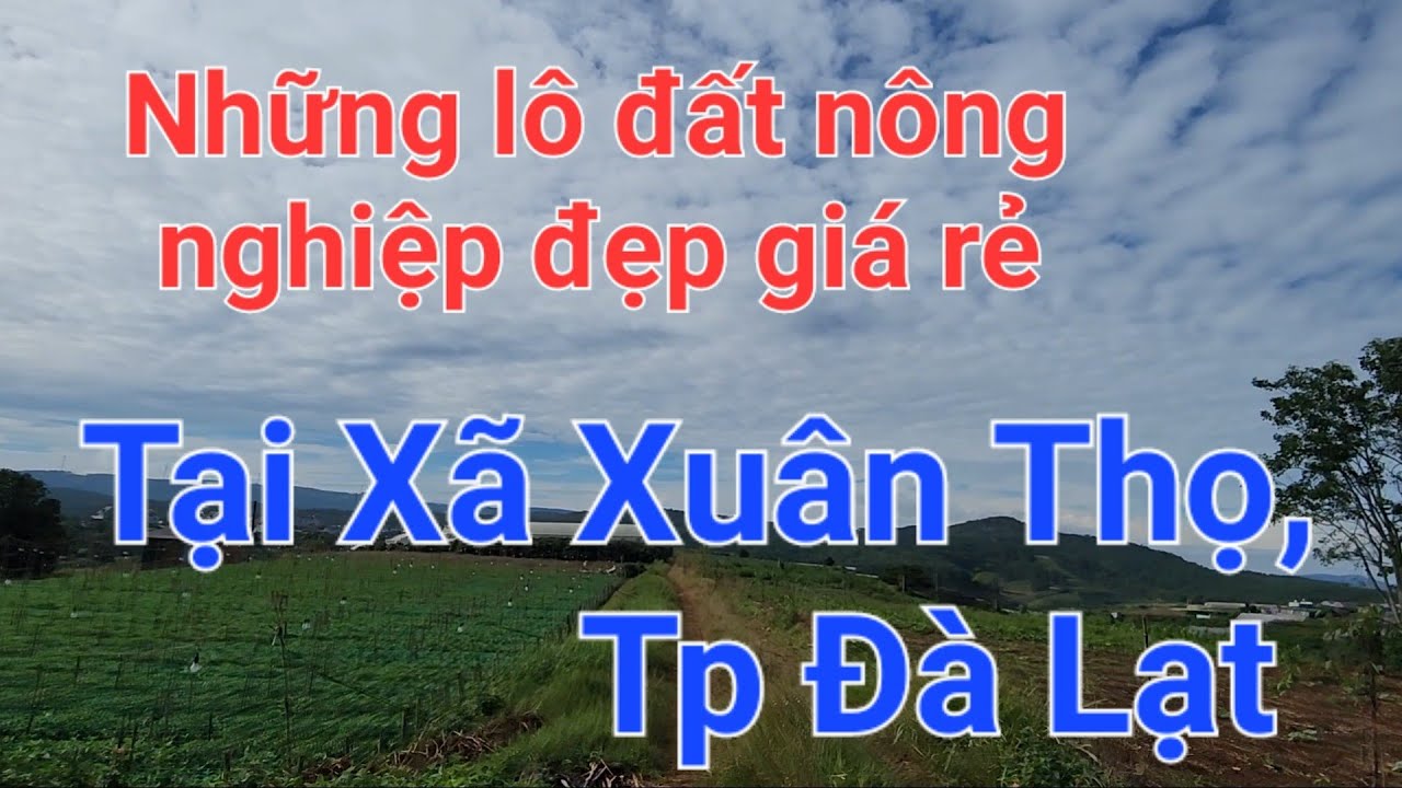 Những lô đất nông nghiệp đẹp giá rẻ tại Xuân Thọ, Đà Lạt. 1124m2 1,7 tỉ, 500m2 1,5 tỉ, 500m2 2,2 tỉ.
