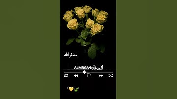 سورة آل عمران| ارح سمعك 🎧😴 |حالات واتس اب قرأن تنسيك الدنيا|ستوريات انستا😔|قرأن |