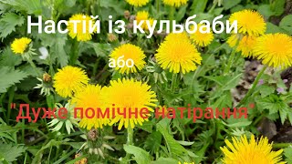 Настій із кульбаби при болях у суглобах."Крутять" ноги, руки,кульбаба допоможе.Зробіть ,поки цвіте.