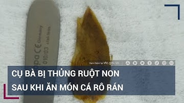 Cụ bà 89 tuổi ở Quảng Ninh bị thủng ruột non sau khi ăn cá rán | VTC Tin mới