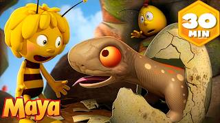 À qui appartient cet œuf ?  🐝 Maya l’Abeille | Dessin animé pour enfants