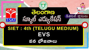 T-SAT || SIET - 4th (T/M) || EVS  - వన భోజనాలు || 23.02.2021