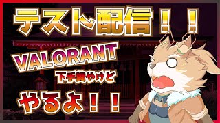 【VALORANT】できるかどうかテストを兼ねてやってくよ！【彗音ネツキ】