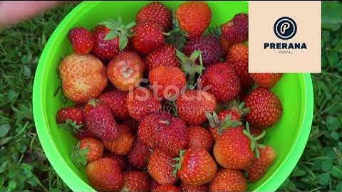 WordBrain 2 Summer Event Day 23 August 25 2024  Answers