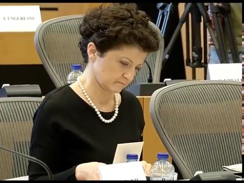 თეა წულუკიანის კომენტარი ევროპარლამენტის კომიტეტის (LIBE) სხდომის დასრულების შემდეგ