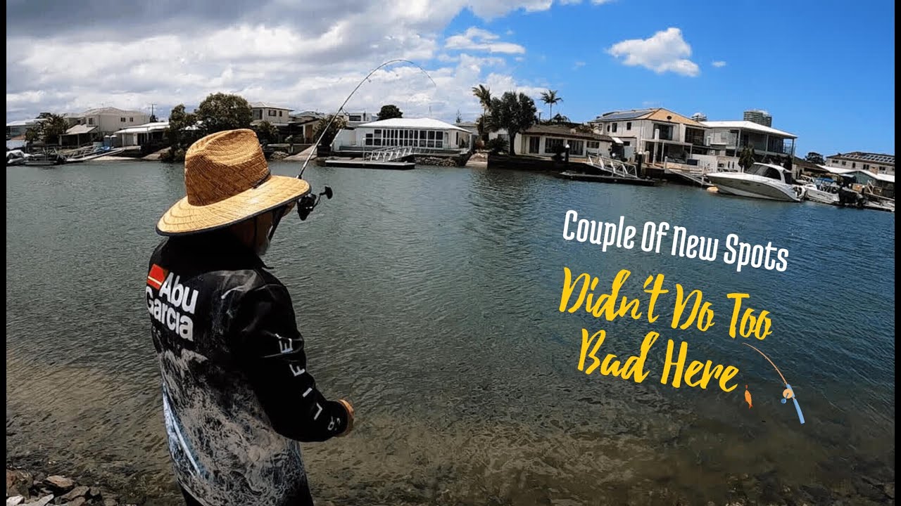 Canal And River Fishing Gold Coast YouTube