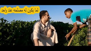 عم احمد فاهم عمر كويس سمعها