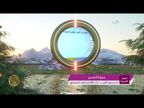 جمع التكسير  من محاضرات اللغة العربية  المستوى الأول  2