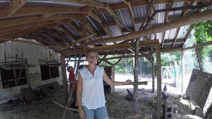 Learning to raise chickens on the homestead - Part 1: The chicken coop