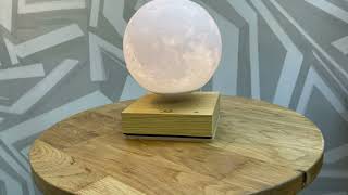 Gingko White Ash Wood Base Smart Moon
