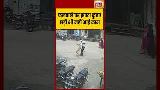 Street Dog Attack VIral Video: फलवाले पर झपटा कुत्ता ! छड़ी भी नहीं आई काम | #shorts #viralvideo
