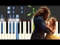 La Bella y La Bestia / Bella y Bestia Son / Piano Tutorial / Notas Musicales