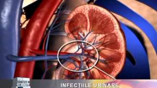 erectie incompleta - Erecție cu urină completă