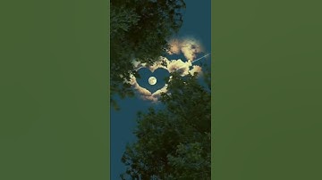 ياسر الدوسري سورة الجاثية صوت رائع