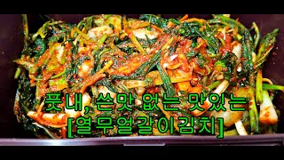 풋내 / 쓴맛없이 맛있는 [열무얼갈이김치] 만드는 방법