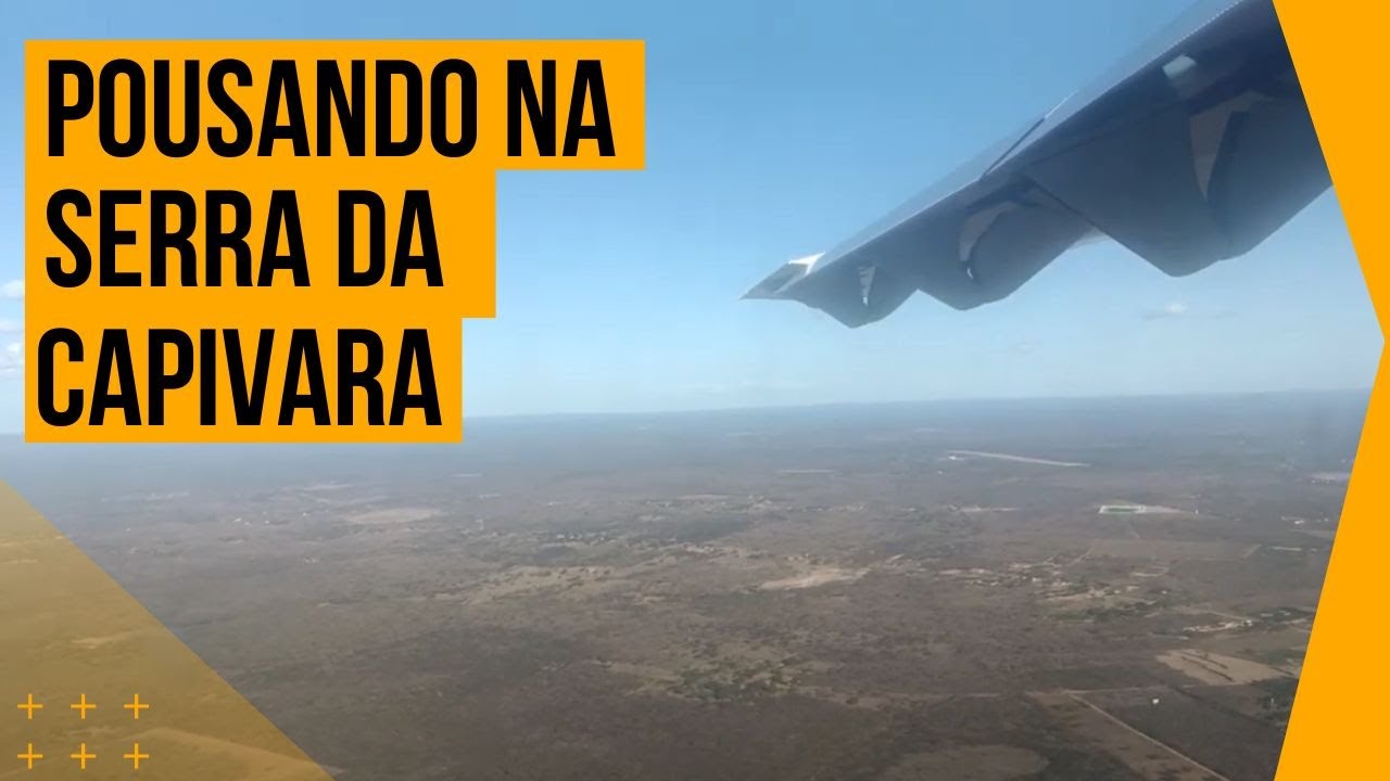 Capivara na pista atrapalha pouso no aeroporto Santos Dumont