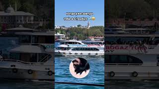 Еще чуть-чуть и Стамбул ✈️🇹🇷