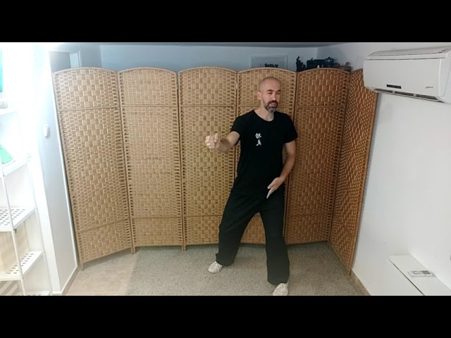 אלמנט העץ - תנועה, איכות אנרגטית ותכונות התנהגותיות.