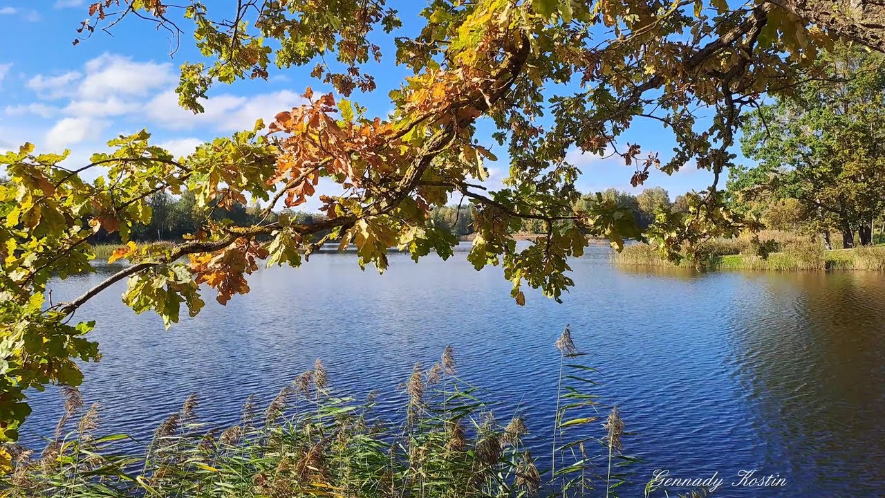 4K Созерцание осени _  Contemplation of Autumn