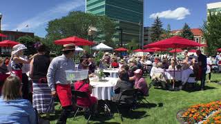 Mayor's Garden Party.MOV