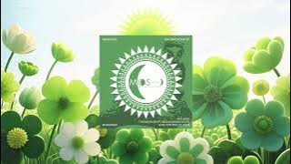 SAFAR Feat Megan Dixon Hood - The Magician (Radio Edit)