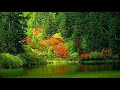 Autumn Song - Осенняя песнь.